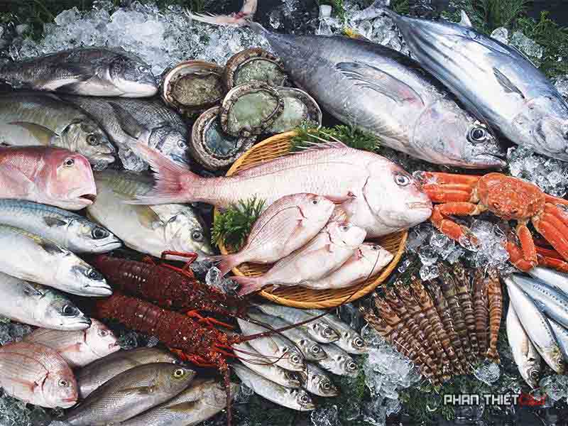 Phan Thiet Seafood 1